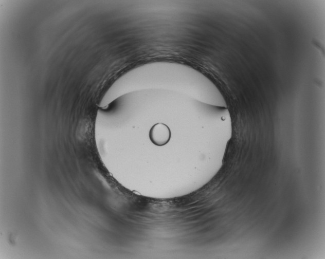 X0000099440079200806061054