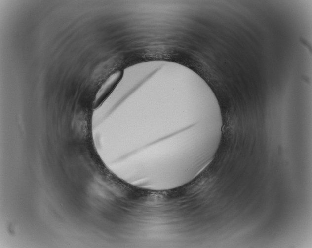 X0000099440080200806061054