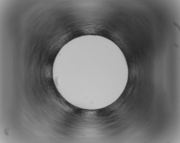 X0000099440081200806061054