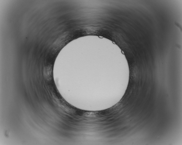 X0000099440082200806061054