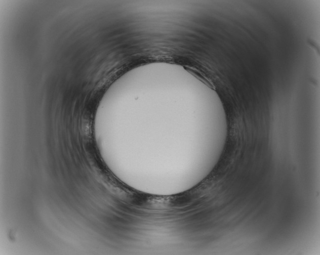 X0000099440084200806061054