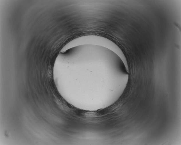 X0000099440085200806061054