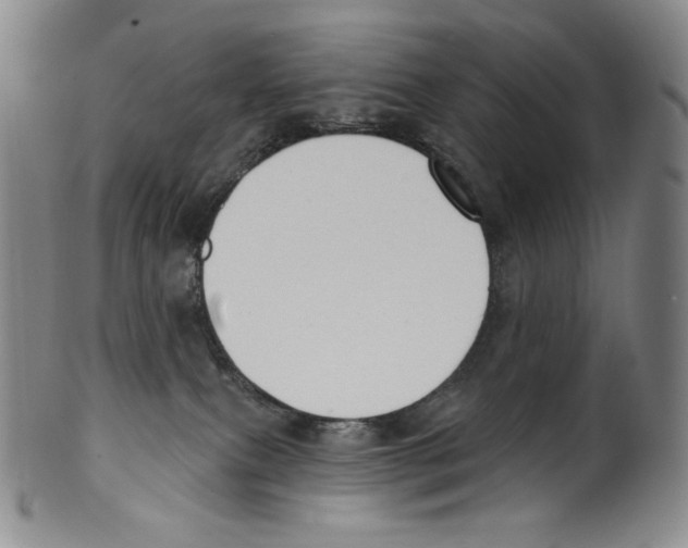 X0000099440087200806061054