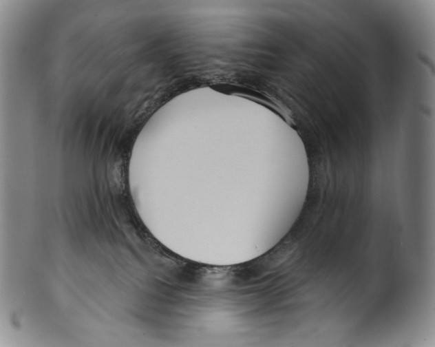 X0000099440088200806061054