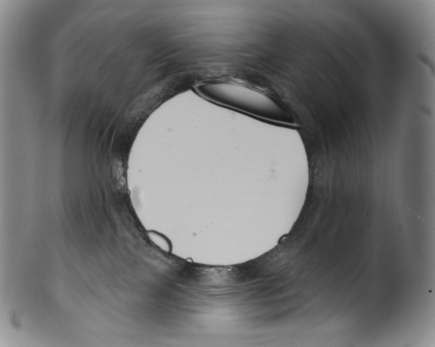 X0000099440089200806061054