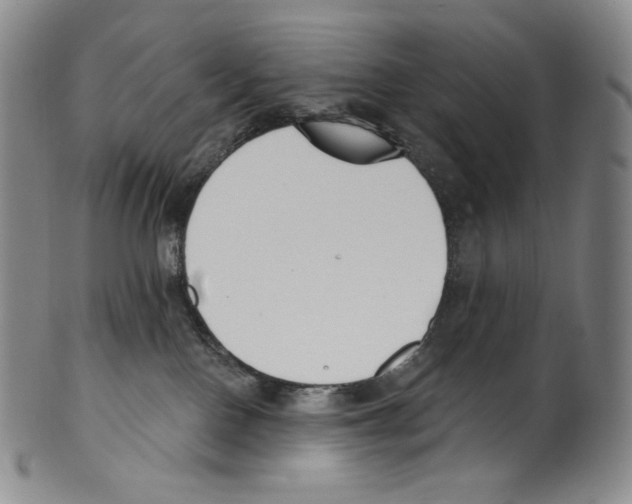 X0000099440090200806061054