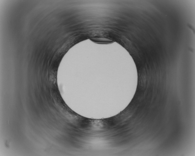 X0000099440091200806061054