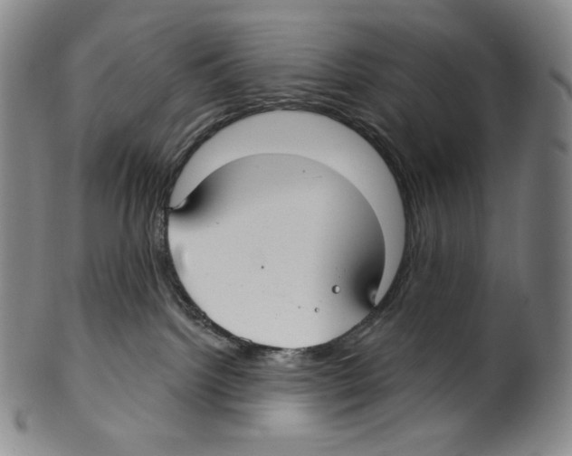 X0000099440092200806061054