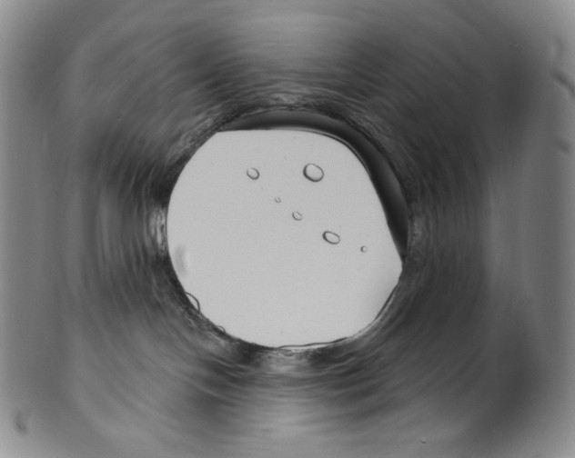 X0000099440094200806061054