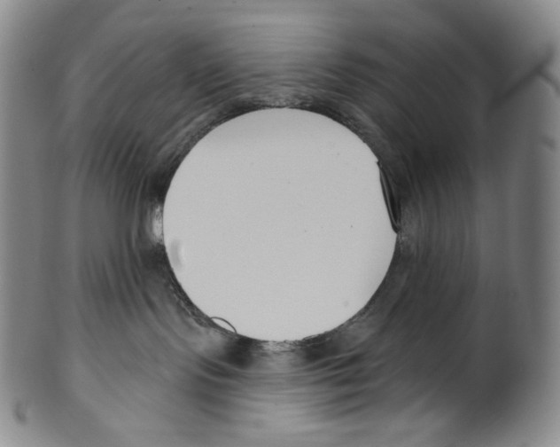 X0000099440095200806061054