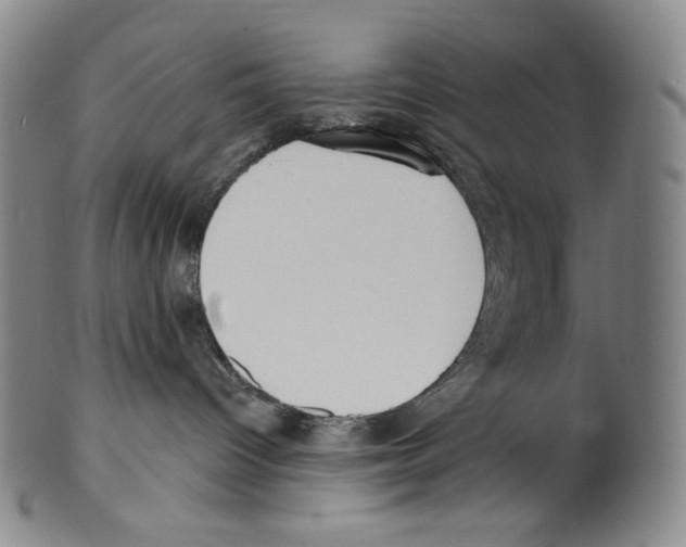 X0000099440096200806061054