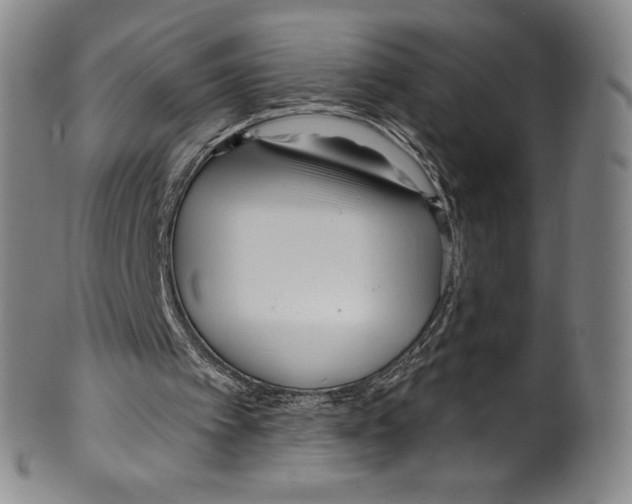 X0000099440097200806061053