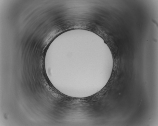 X0000099440098200806061053