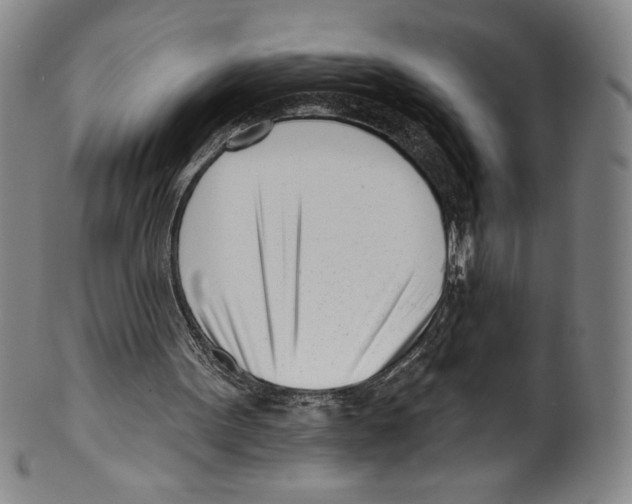 X0000099440099200806061053