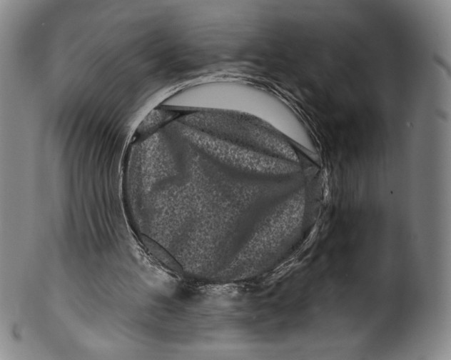 X0000099440100200806061053