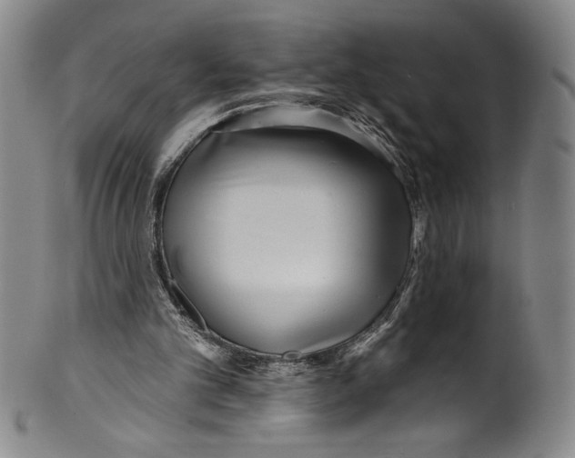 X0000099440101200806061053