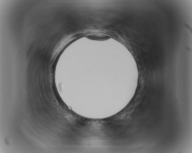 X0000099440103200806061053