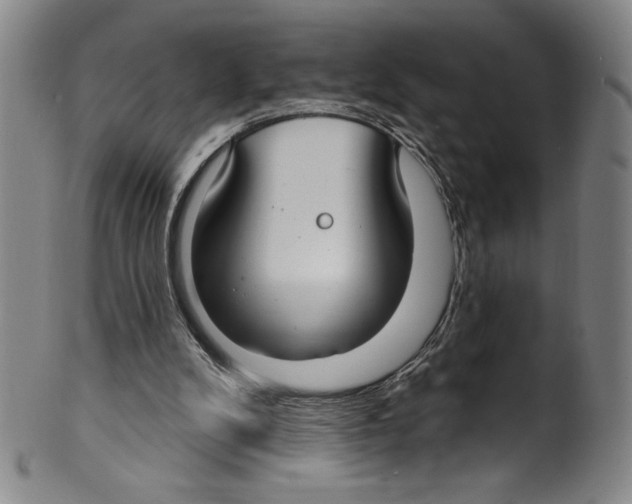 X0000099440104200806061053