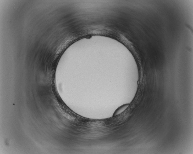 X0000099440106200806061053