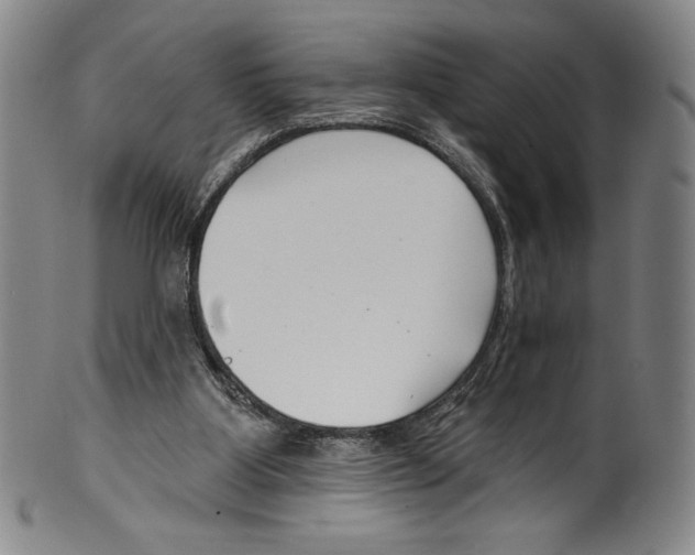 X0000099440107200806061053