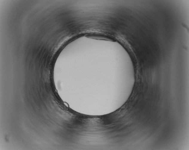 X0000099440108200806061053