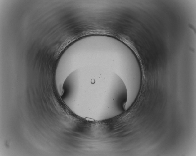 X0000099440109200806061053