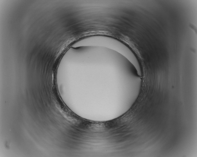 X0000099440110200806061053