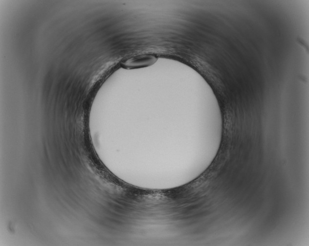 X0000099440112200806061053