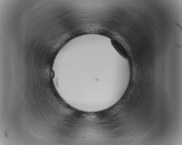 X0000099440113200806061053