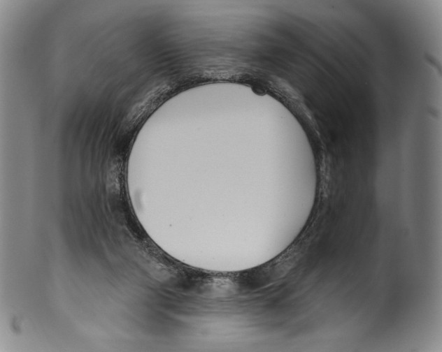 X0000099440114200806061053