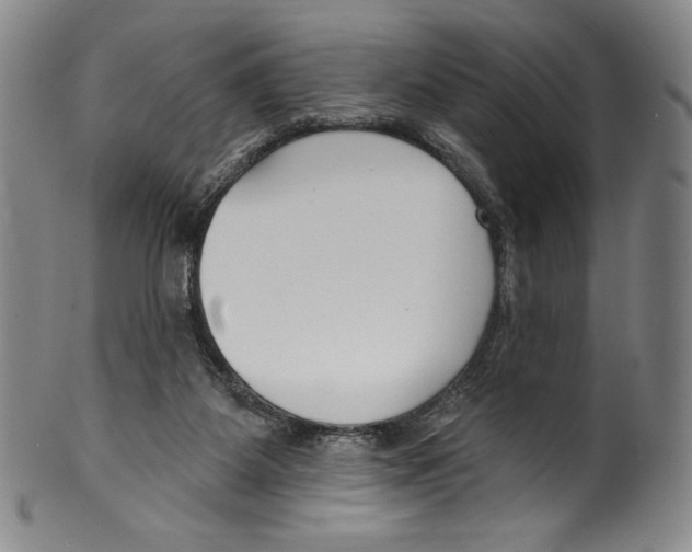 X0000099440115200806061053