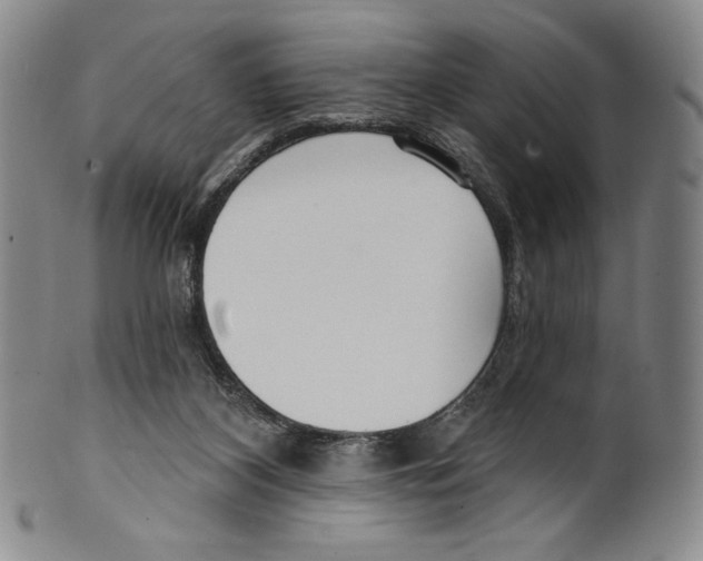 X0000099440116200806061053