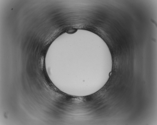 X0000099440118200806061053