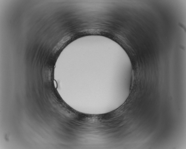 X0000099440120200806061053