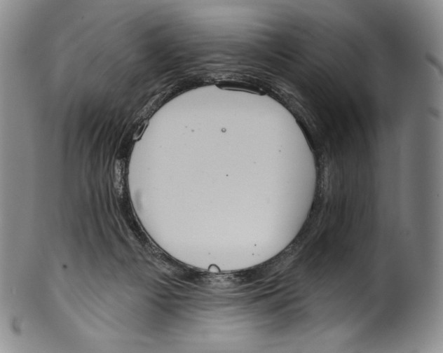 X0000099440121200806061053