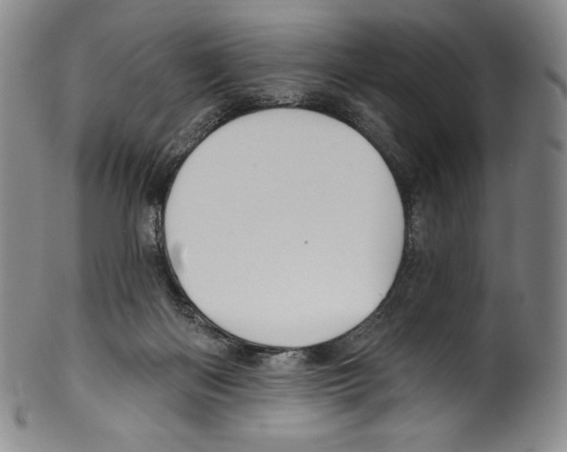 X0000099440122200806061053