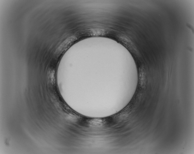 X0000099440123200806061053