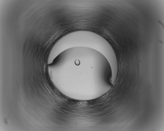 X0000099440124200806061053