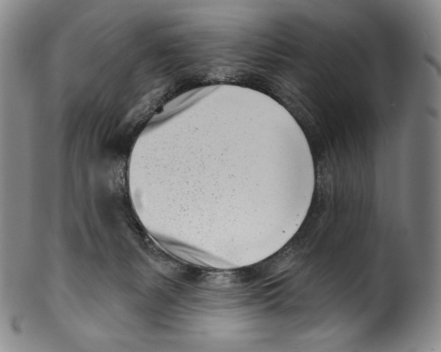 X0000099440127200806061053