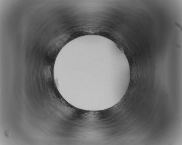 X0000099440128200806061053