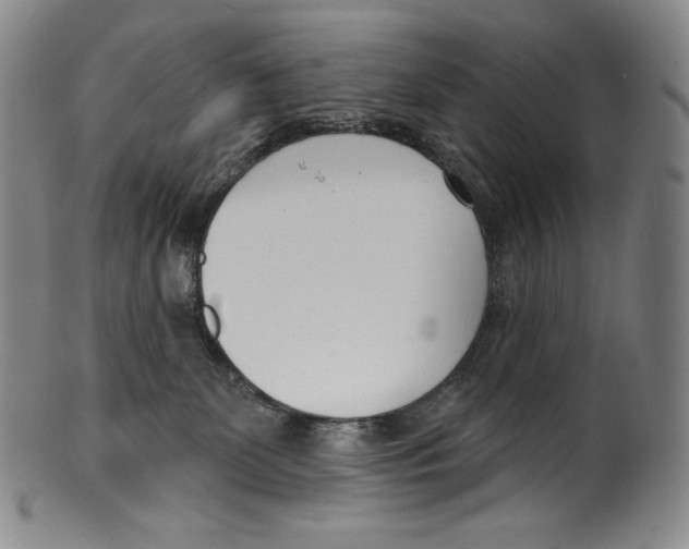 X0000099440131200806061053