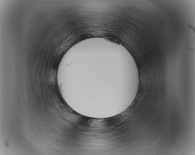 X0000099440132200806061053