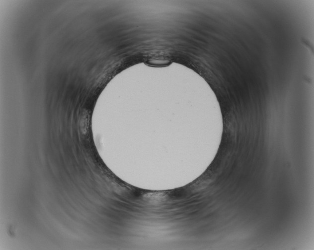 X0000099440133200806061053