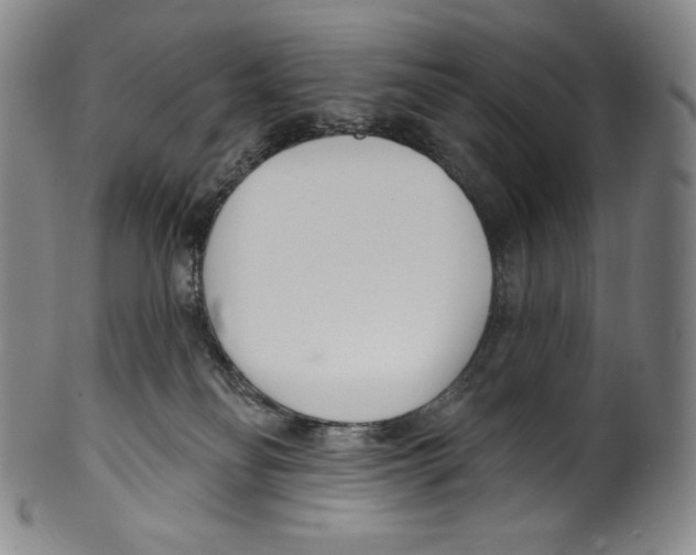 X0000099440134200806061053