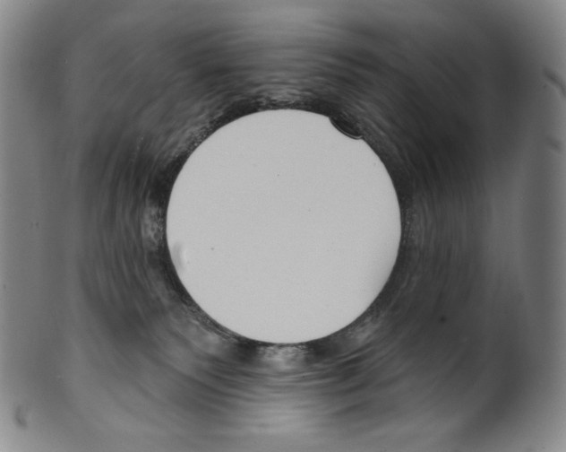 X0000099440135200806061053