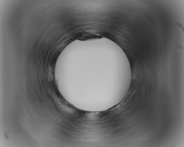 X0000099440136200806061053