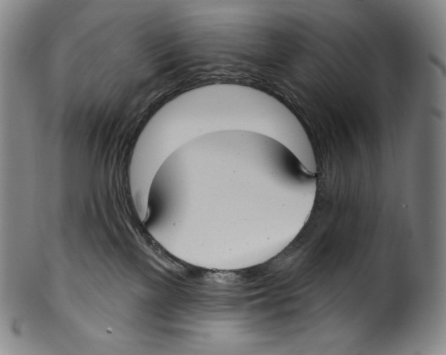 X0000099440137200806061053