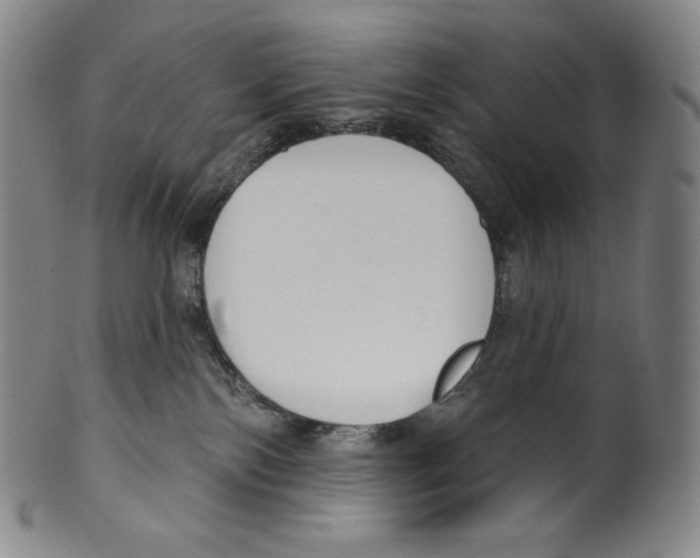 X0000099440138200806061053