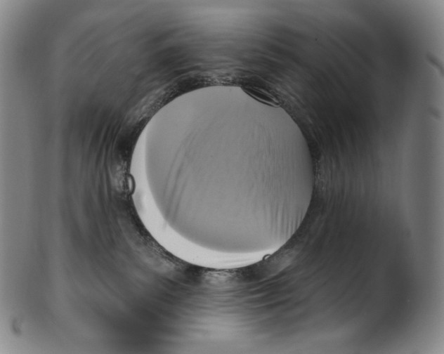 X0000099440139200806061053