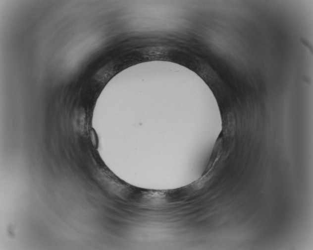 X0000099440140200806061053